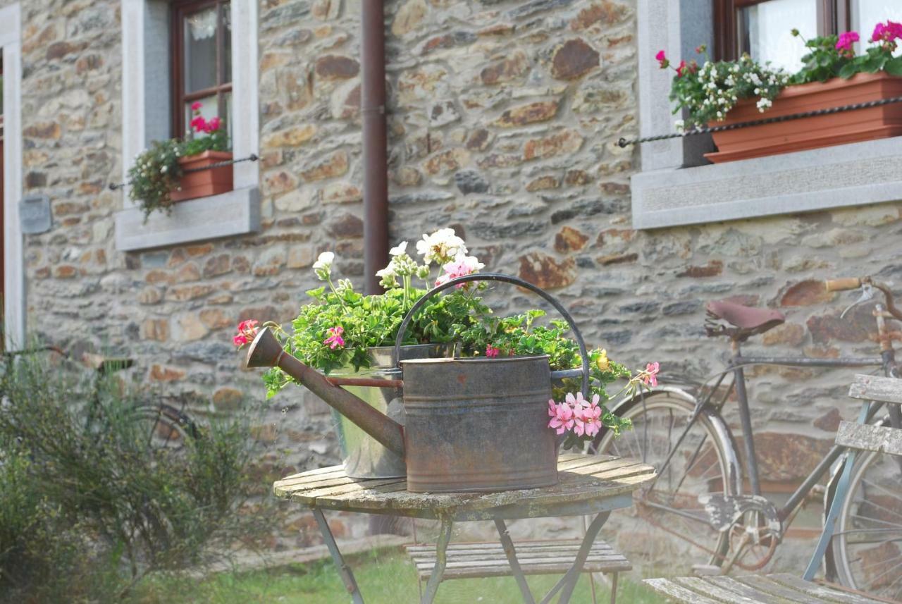 Petite Reine Villa Bertrix Exterior foto